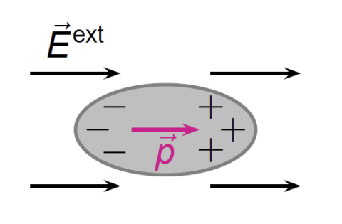 image-20211102085656976